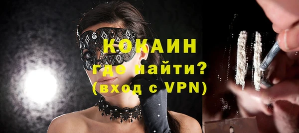 индика Вязники