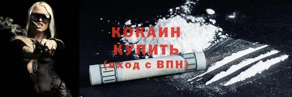 ПСИЛОЦИБИНОВЫЕ ГРИБЫ Вяземский