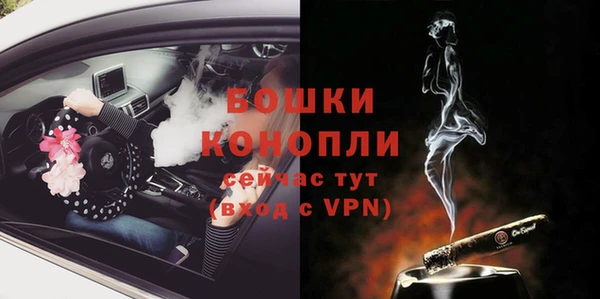 ПСИЛОЦИБИНОВЫЕ ГРИБЫ Вяземский