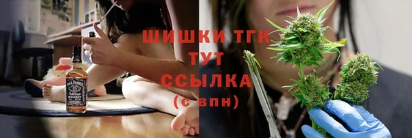 ПСИЛОЦИБИНОВЫЕ ГРИБЫ Вяземский