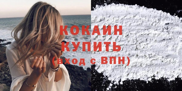 индика Вязники