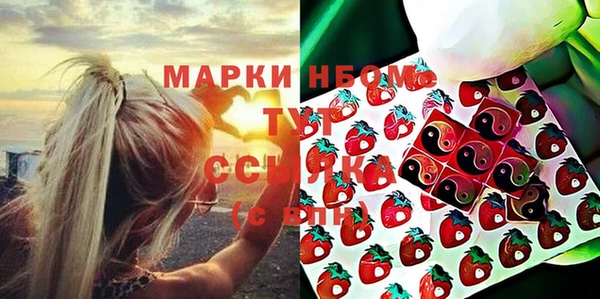 индика Вязники