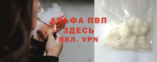 ПСИЛОЦИБИНОВЫЕ ГРИБЫ Вяземский
