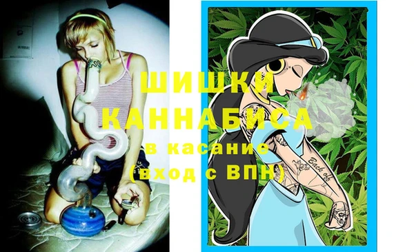 ПСИЛОЦИБИНОВЫЕ ГРИБЫ Вяземский