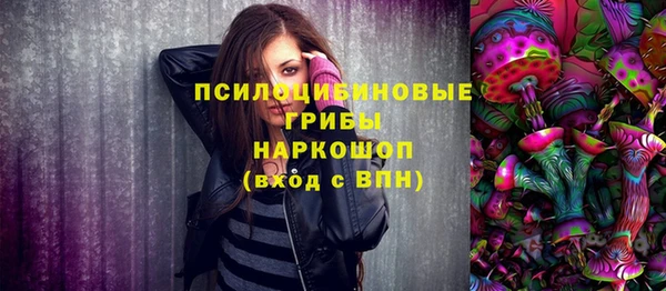 индика Вязники