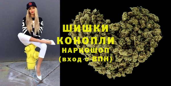ПСИЛОЦИБИНОВЫЕ ГРИБЫ Вяземский