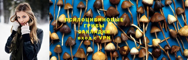 индика Вязники