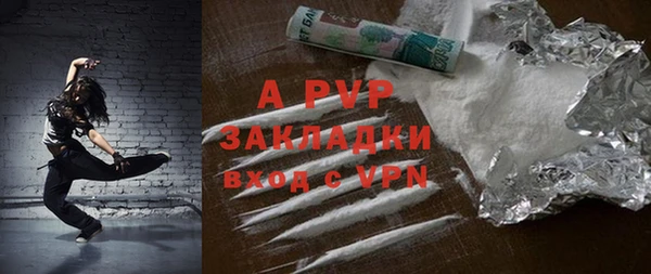 ПСИЛОЦИБИНОВЫЕ ГРИБЫ Вяземский