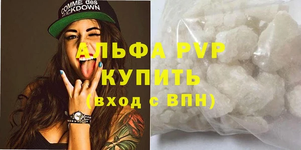 индика Вязники