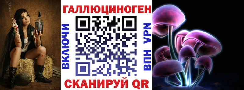 Галлюциногенные грибы Psilocybe  даркнет сайт  Муром 